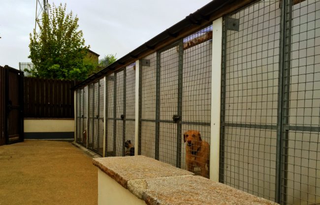 Kennels – Boothwood Boarding Kennels & Cattery